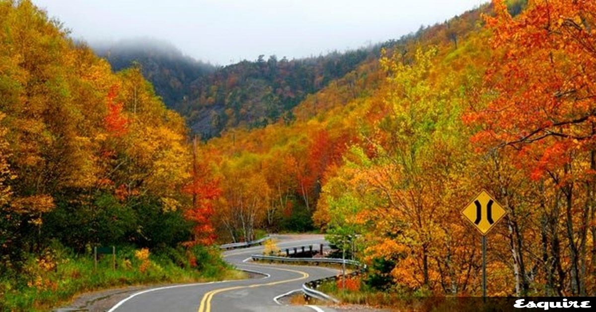 Έρευνα: Τι βασικό λείπει από τα καινούργια αυτοκίνητα