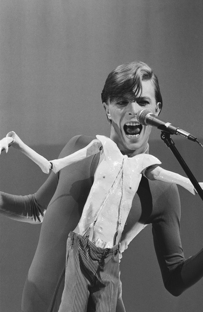 David Bowie