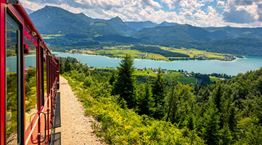 Με ένα τατουάζ ταξιδεύεις δωρεάν στην Αυστρία για ένα χρόνο