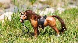 Το Hobby Horsing είναι (με διαφορά) το πιο περίεργο άθλημα στον κόσμο