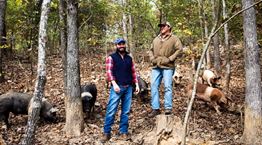 3 start-ups ανθίζουν εν μέσω πανδημίας