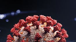 Και μετά τον κορονοϊό, ο Τσαπάρε