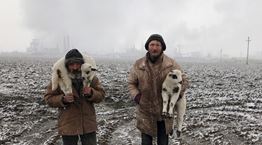 Οι καλύτερες φωτογραφίες που τραβήχτηκαν με iPhone το 2021