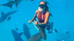 Εκατομμύρια άνθρωποι είδαν τον καρχαρία που δάγκωσε influencer (video)