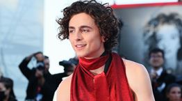 Ο Timothée Chalamet εμφανίστηκε με εξώπλατο, το σύμπαν παραληρεί