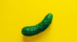 Η επιστήμη της πίκλας