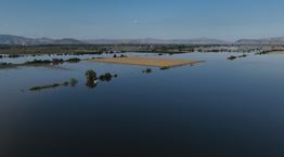 Οι επερχόμενες επιπτώσεις της κακοκαιρίας Daniel στην αλυσίδα τροφοδοσίας