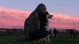 Dogs: Η νέα σειρά του Netflix δείχνει πώς τα σκυλιά σε κάνουν καλύτερο άνθρωπο
