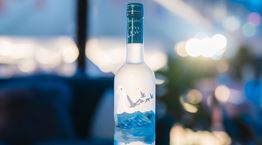 Απολαύσαμε παγωμένο Grey Goose Martini και μυηθήκαμε στα μυστικά του κάτω από τα Πυρηναία Όρη