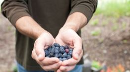 8+1 τροφές για ενδυνάμωση των μυών