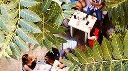 Τα μπαρ των αθηναϊκών αυλών