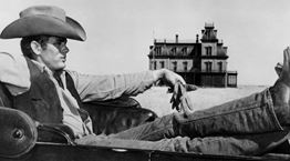 Οι 15 κανόνες του τζην