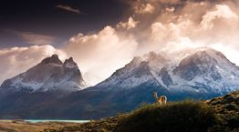 Στις άγριες στέπες, στις παγωμένες λίμνες και στα καταπράσινα λιβάδια της Χιλής