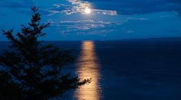 Η αληθινή ιστορία του βρικόλακα της Μυκόνου