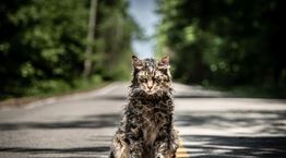 &quot;Νεκρωταφίο ζώων&quot;: Έρχεται το remake τρόμου της χρονιάς