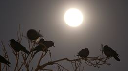 Πιο ζεστές οι νύχτες στην Ευρώπη λόγω της κλιματικής αλλαγής