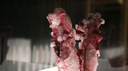 Sweat-Athens: Ο ανθρώπινος ιδρώτας μεταμορφώνεται σε έργο τέχνης