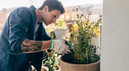 Κηπουρική, η νέα ψυχοθεραπεία