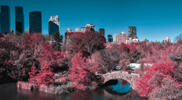 Έτσι μοιάζει ο κόσμος όταν έχεις δυσχρωματοψία