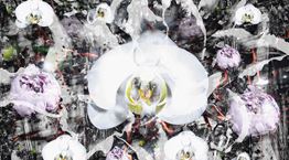 Ο εικαστικός Κώστας Πηγαδάς γεφυρώνει επιστήμη και τέχνη