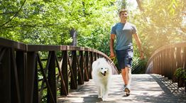 Βόλτες στη φύση συνταγογραφούν οι γιατροί στον Καναδά