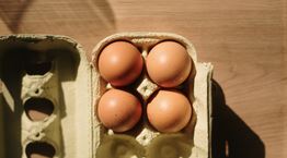 Τα αβγά βοηθούν στην απώλεια βάρους. Αλλά πώς;