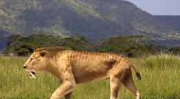 Ίσως βρέθηκε η μεγαλύτερη γάτα στην ιστορία