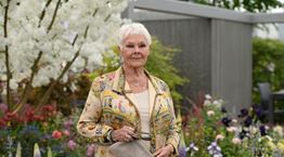 Όταν η Judi Dench τραγούδησε Abba