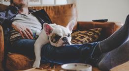 Friluftsliv, η νέα τάση στο ευ ζην