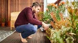 Τα ευεργετικά οφέλη των λουλουδιών στην υγεία μας