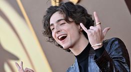 Εσύ θα φορούσες το κροκό κοστούμι του Timothée Chalamet;