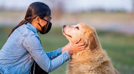 Οι σκύλοι ως ανιχνευτές του κορονοϊού στον άνθρωπο