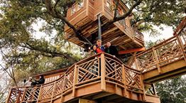 Μέσα στο δεντρόσπιτο 344.000 ευρώ ενός δισεκατομμυριούχου