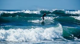 Σε λίγα χρόνια οι ωκεανοί θα αλλάξουν χρώμα