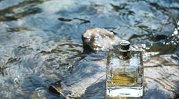 8 δροσερά αρώματα για το φετινό καλοκαίρι