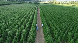 Από το χωράφι στην κουζίνα: Η βιωσιμότητα στο πιάτο μας-Η τάση που αλλάζει τον τρόπο που τρώμε