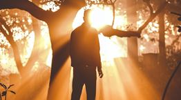 Το φως της ζωής - Η σημαντική ανακάλυψη επιστημόνων στον Καναδά