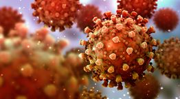 Μπορεί το κοινό κρυολόγημα να μας προστατέψει από τον κορονοϊό