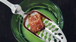 Το αψέντι και τα μυστικά της Πράσινης Νεράιδας