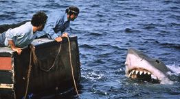 Σπουδαία ονόματα στο Evia Film Project με θέμα το νερό