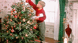 Η αληθινή ιστορία του χριστουγεννιάτικου δέντρου