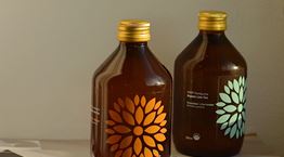 Κομπούτσα, ο μύκητας που όλοι θέλουν να δοκιμάσουν