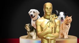 Τετράποδοι και μη, πρωταγωνιστές που αξίζουν βραβείο Όσκαρ