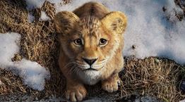 Στο νέο trailer για το Mufasa: The Lion King επιστρέφουν αγαπημένοι χαρακτήρες