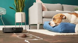 Ένα ρομπότ στην υπηρεσία κάθε εργένη, pet lover ή μπαμπά