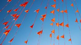 Τα Red Flag emojis είναι παντού στα social media. Αλλά γιατί;