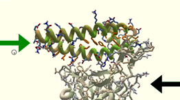 Το video game που ψάχνει τη θεραπεία για τον κοροναϊό