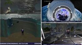 Οι ιπτάμενες αγελάδες του Ευαγγελάτου για τον τυφώνα Milton