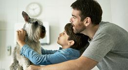 Αυτές είναι οι ράτσες σκύλων που ζουν περισσότερο