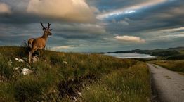 Στο σκωτσέζικο νησί Jura τα πάντα περιστρέφονται γύρω από το ουίσκι